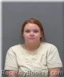 Mugshot of Desiree Meyer booked in Kanabec County, Minnesota on August 30, 2026
