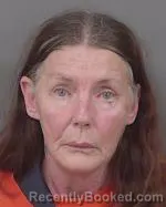 Mugshot of Deborah Lee Ellingson booked in Kandiyohi County, Minnesota on June 12, 2026