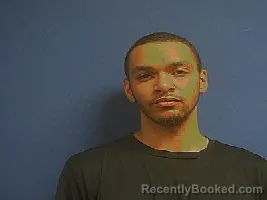 Mugshot of Stormy Kincad Ellis booked in Sampson County, North Carolina on August 26, 2026