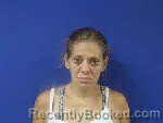 Mugshot of Megan Elizabeth Smith booked in Sampson County, North Carolina on July 28, 2026