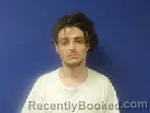 Mugshot of Jessie Danzig Robinson booked in Sampson County, North Carolina on June 26, 2026