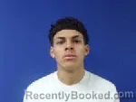 Mugshot of Luis Fernando Galves Gonzales
