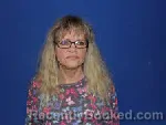 Mugshot of Gina Marie Farmer booked in Sampson County, North Carolina on April 10, 2026