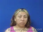 Mugshot of Celia Velasquez booked in Sampson County, North Carolina on June 12, 2026