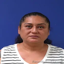 Mugshot of Sary Mejia booked in Sampson County, North Carolina on July 29, 2026