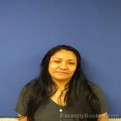 Mugshot of Evangeline Hernandez booked in Sampson County, North Carolina on July 29, 2026