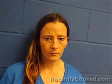 Mugshot of Amy Nichole Young booked in Sampson County, North Carolina on September 30, 2026