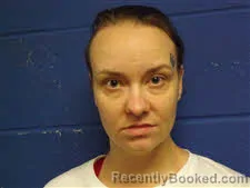 Mugshot of Brittany Leanne Hamilton booked in Sampson County, North Carolina on October 14, 2026