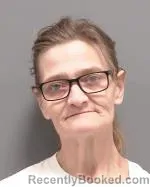 Mugshot of Lisa Marie Weichman booked in Le Sueur County, Minnesota on April 21, 2026