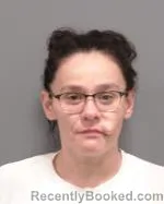Mugshot of Megan Renae Martinez booked in Le Sueur County, Minnesota on May 29, 2026