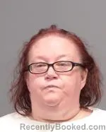 Mugshot of Brandy Leigh Almany booked in Le Sueur County, Minnesota on July 5, 2026