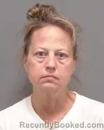 Mugshot of Susan Lynn Deneffe booked in Le Sueur County, Minnesota on August 22, 2026