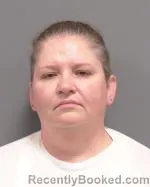 Mugshot of Paula Marie Mills booked in Le Sueur County, Minnesota on October 24, 2026