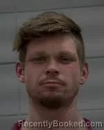 Mugshot of George Steven Nyberg