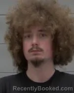 Mugshot of Austin James Braunworth