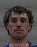 Mugshot of Corey Anthony Brown booked in McLeod County, Minnesota on March 19, 2026