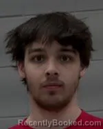 Mugshot of Silas Alexander Walker booked in McLeod County, Minnesota on March 27, 2026