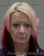 Mugshot of Terrie Marlene Biesenbach booked in McLeod County, Minnesota on March 27, 2026