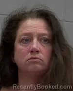 Mugshot of Gretchen Joy Novak booked in McLeod County, Minnesota on May 22, 2026