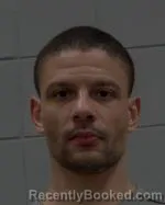 Booking photo from McLeod County, Minnesota