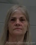 Mugshot of Michele Anita Eckenrode booked in McLeod County, Minnesota on June 27, 2026