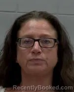 Mugshot of Gretchen Joy Novak booked in McLeod County, Minnesota on October 21, 2026