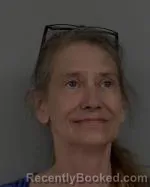 Mugshot of Teresa Ann Tolifson booked in Morrison County, Minnesota on May 28, 2026