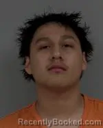 Mugshot of Nakota Michael Martez Sampson