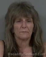 Mugshot of Brenda Faye Smith booked in Morrison County, Minnesota on July 2, 2026
