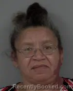 Mugshot of Alice Jean Budreau booked in Morrison County, Minnesota on August 5, 2026