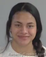 Mugshot of Diamond Rose Fischer booked in Nicollet County, Minnesota on March 27, 2026