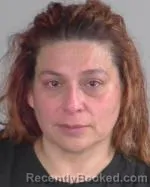 Booking photo from Nicollet County, Minnesota