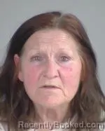 Mugshot of Elizabeth Ann Fries booked in Nicollet County, Minnesota on May 1, 2026