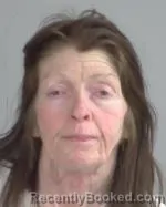 Mugshot of Jane Louise Mosel booked in Nicollet County, Minnesota on May 7, 2026