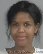 Mugshot of Nimo Mohamed Abdi booked in Nicollet County, Minnesota on August 9, 2026