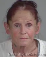 Mugshot of Anna Marie Bailey booked in Nicollet County, Minnesota on September 30, 2026