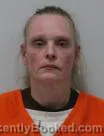 Mugshot of Tammy Lee Hill