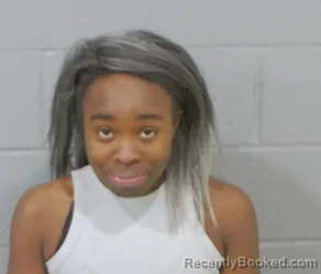 Mugshot of YAHNIECE BETH YISRAEL JOHNSON