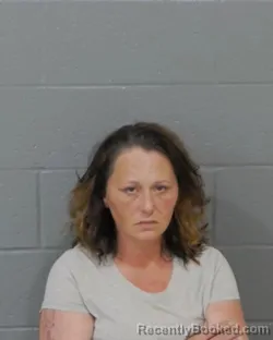 Mugshot of BRANDI ANN HARWOOD booked in Stanly County, North Carolina on April 12, 2026