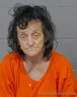 Mugshot of HEIDI LYNN WISE
