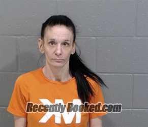 Mugshot of CHRISTINA ANN COLSON