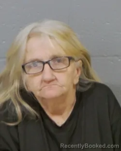 Mugshot of JEANIE FINLEY CLEMMER