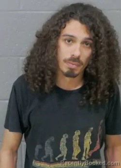 Mugshot of AUSTIN MATTHEW REESE booked in Stanly County, North Carolina on April 12, 2026