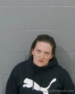 Mugshot of ANDREA NICHOLE DAVIS