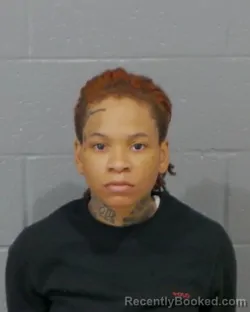 Mugshot of AMANDA MCAULEY