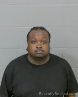 Mugshot of TERRY MILTON SPINKS