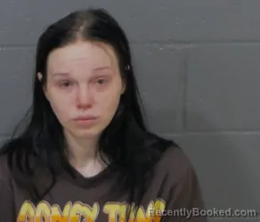 Mugshot of SOMMER NICOLE MCKINNEY