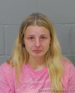Mugshot of ALLIE DONNAMARIE WALSH booked in Stanly County, North Carolina on June 8, 2026