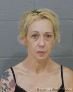 Mugshot of AMY CATHERINE CUNNINGHAM