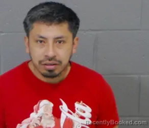 Mugshot of JOSE FLORES GONZALEZ